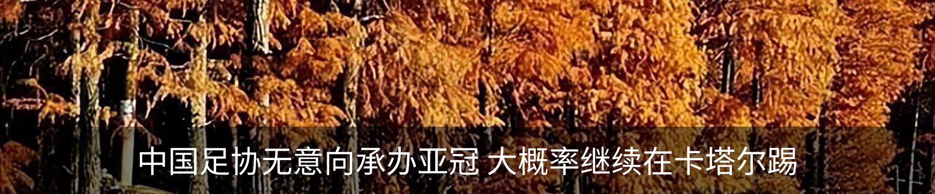 资讯动态