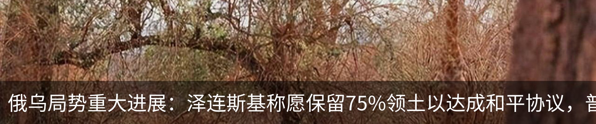 资讯动态