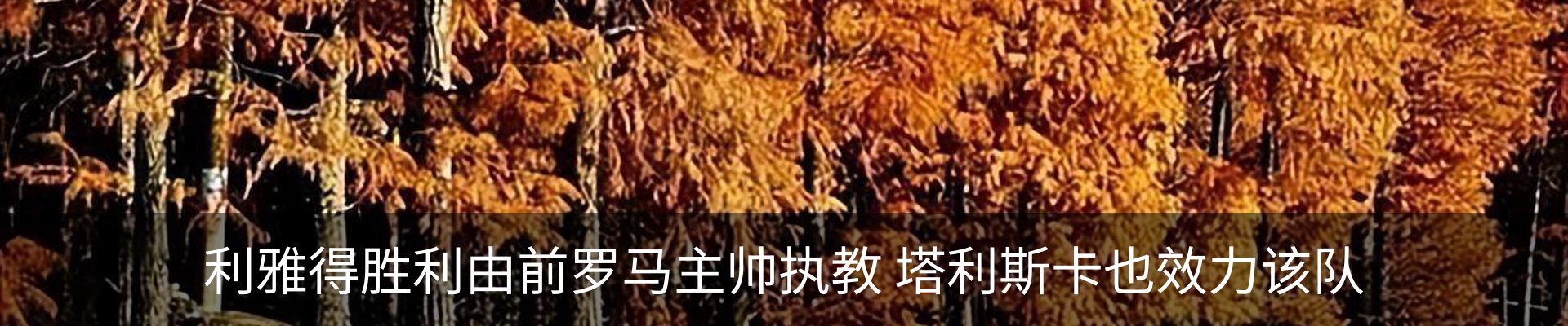 资讯动态