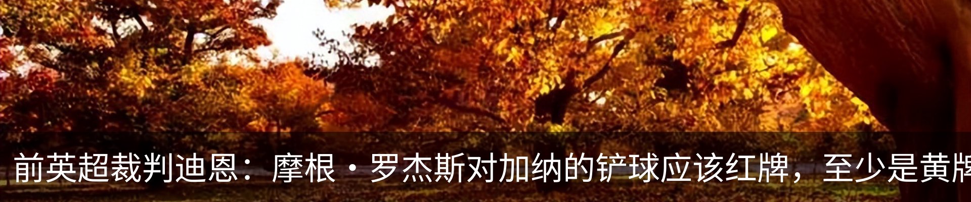 资讯动态