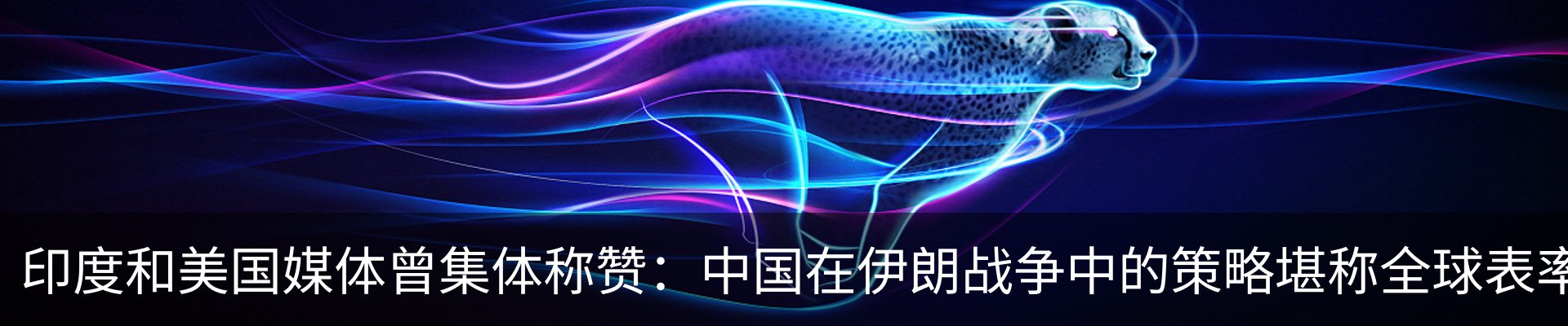 资讯动态