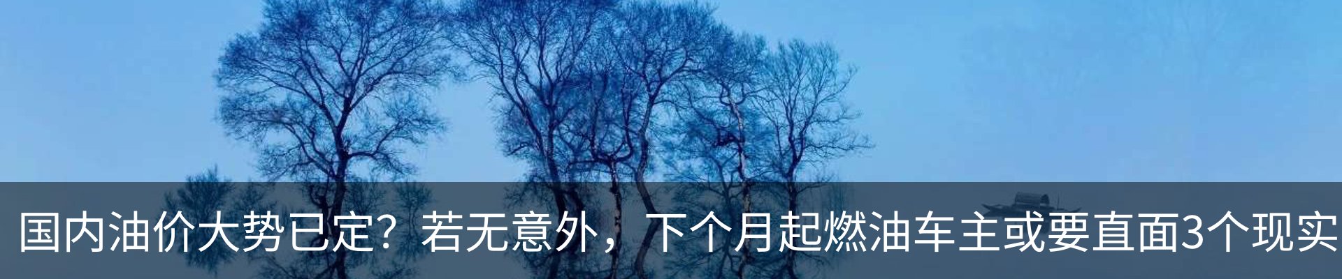 资讯动态
