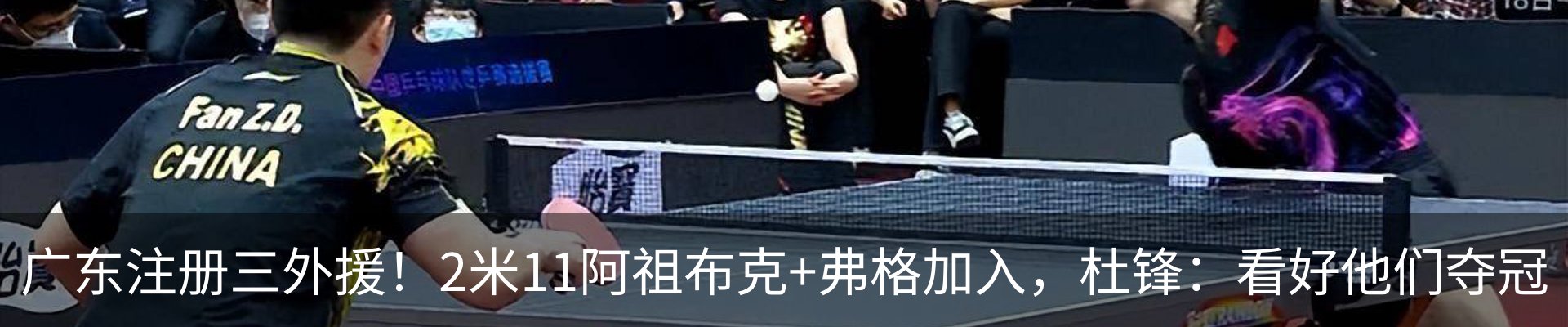 资讯动态