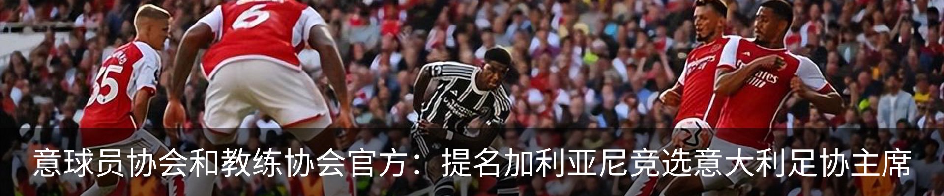 资讯动态