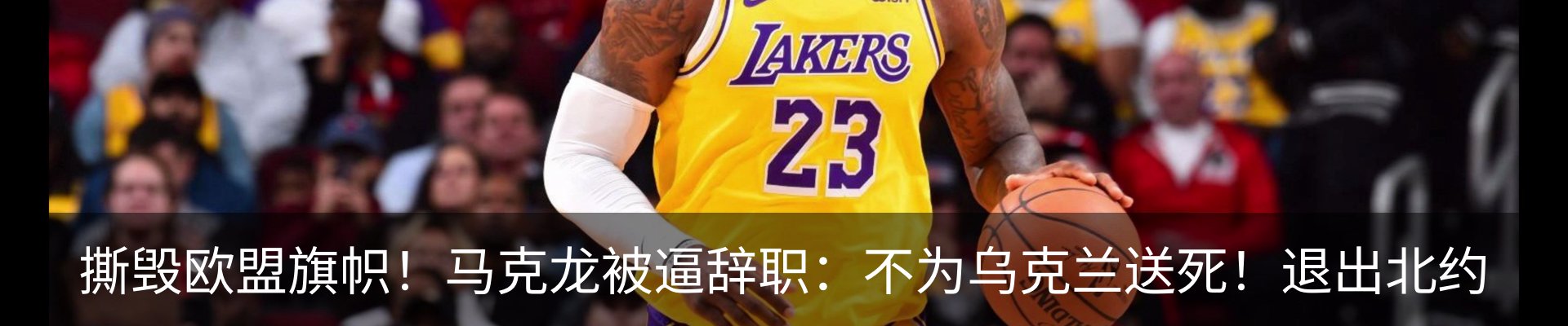资讯动态