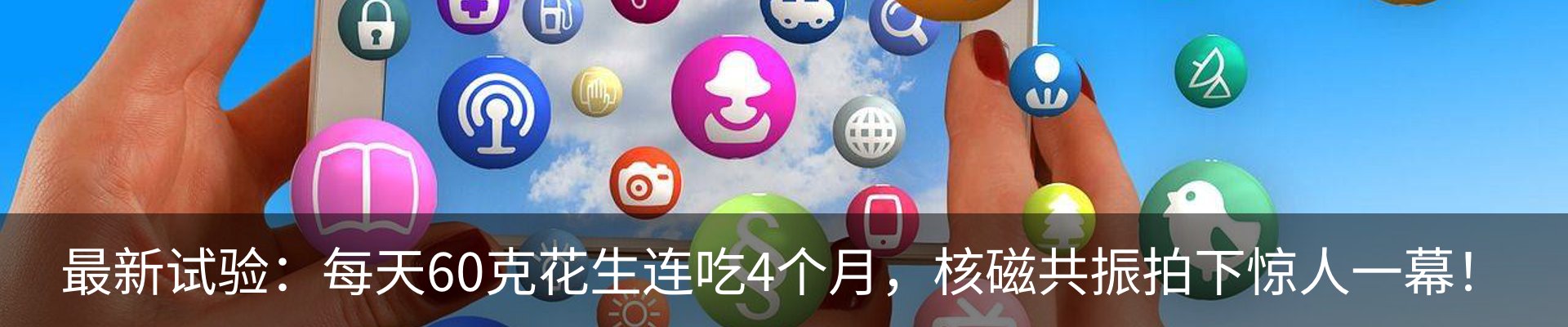 资讯动态