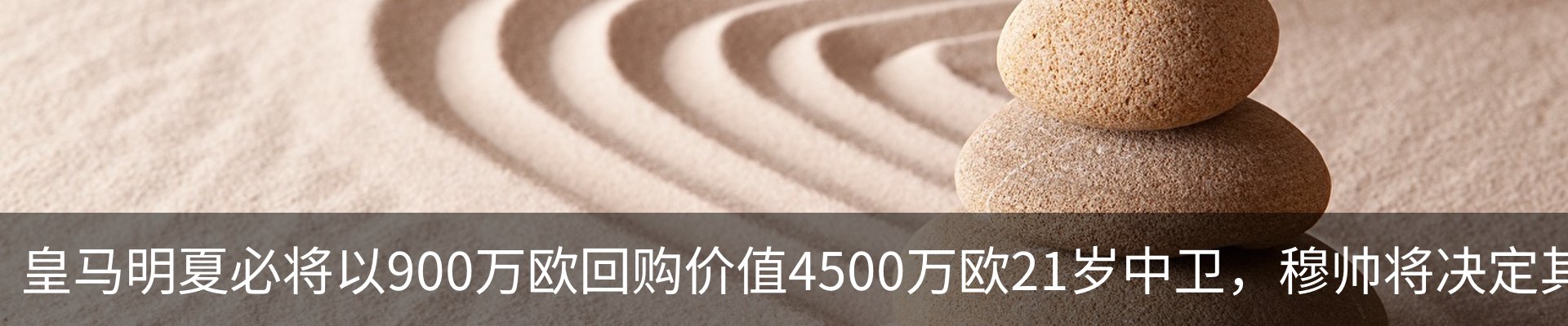 资讯动态