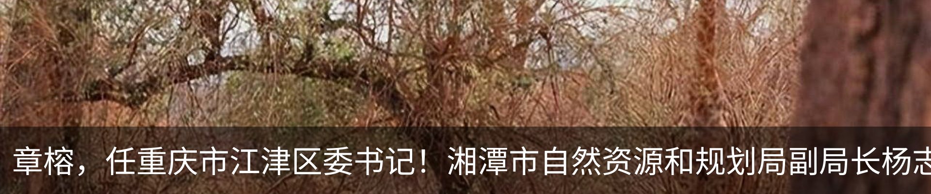 资讯动态