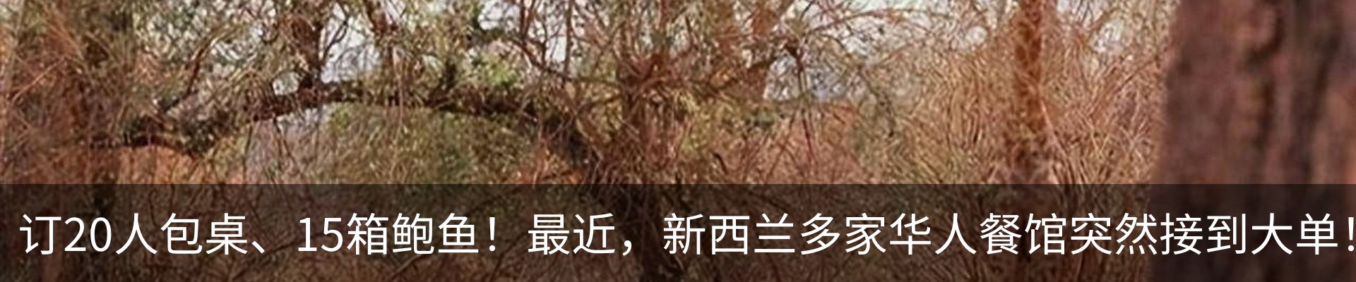 资讯动态