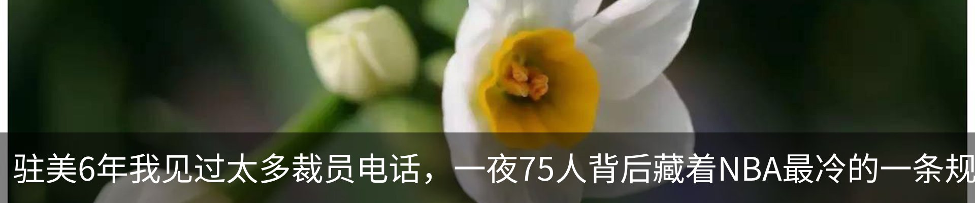 资讯动态